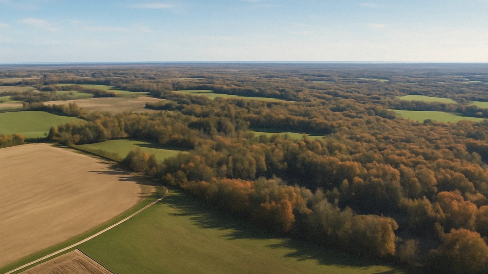 Open Michigan land access road near St. Clair County